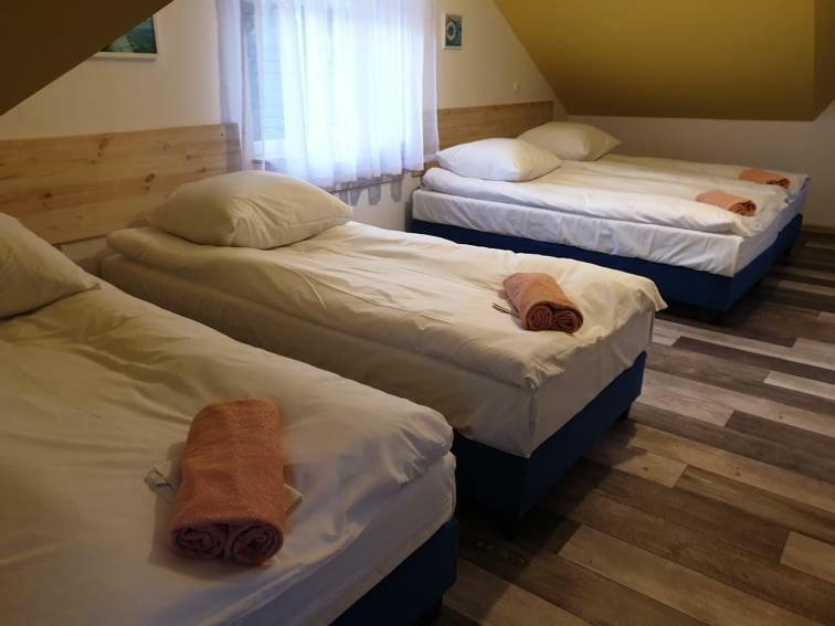 B&B Villa Varmia Frombork Extérieur photo